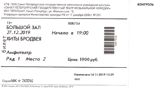 Как купить билет на концерт по пушкинской. Билет в театр. Электронный билет в театр. Как выглядит электронный билет в театр.